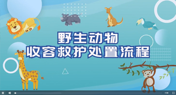 野生动物收容救护处置流程