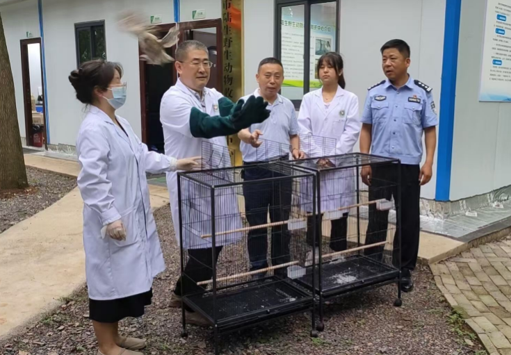 联合收容救护放生野生动物