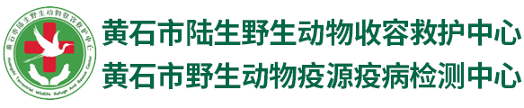 黄石市陆生野生动物收容救护中心（野生动物疫源疫病检测中心）
