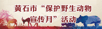 黄石市保护野生动物宣传月