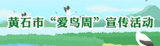 黄石爱鸟周宣传活动