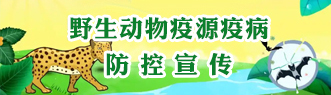 野生动物疫病防控